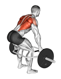 Trap Bar Bent Over Row exercise demonstration for Back, Trap bar