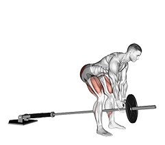 Landmine Romanian Deadlift exercise demonstration for Hips, Barbell