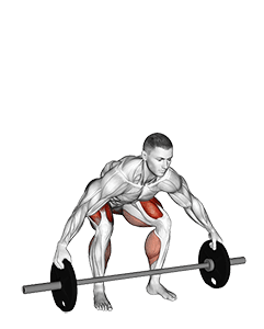 Barbell Reeves Deadlift exercise demonstration for Hips, Barbell