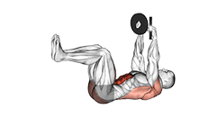 Weighted Dead Bug exercise demonstration