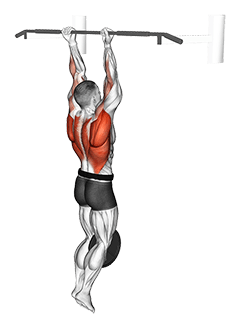 Weighted Hang Chin-Up exercise demonstration