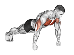 Knuckle Push-Up exercise demonstration for Chest, Body weight