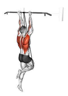 Band Assisted Chin-Up exercise demonstration