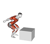 2 to 1 Jump Box exercise demonstration for Plyometrics, Body weight