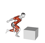 1 to 2 Jump Box exercise demonstration for Plyometrics, Body weight