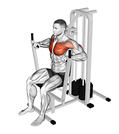 Lever Banded Chest Press exercise demonstration