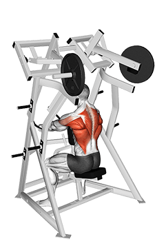 Lever Low Row exercise demonstration