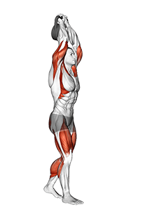 Kettlebell Overhead Carry exercise demonstration