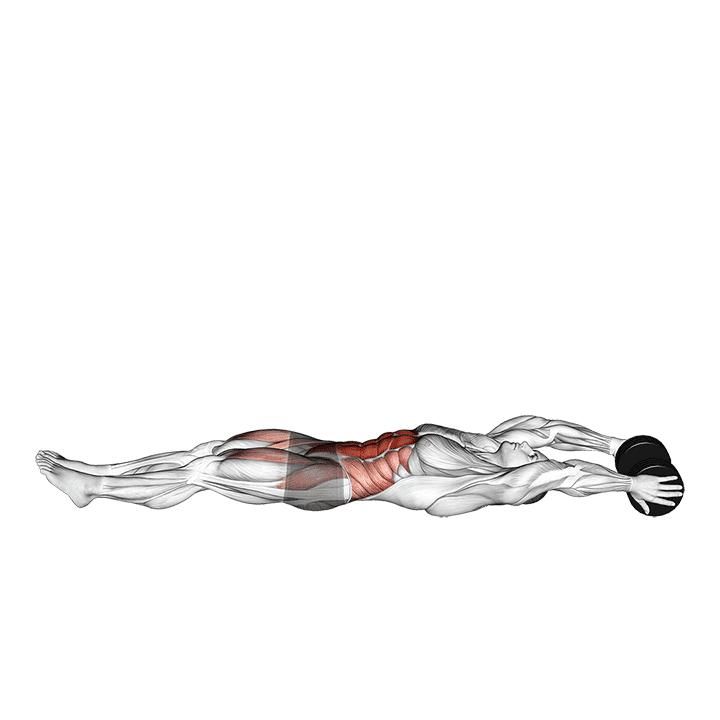 Dumbbell V-up exercise demonstration for Waist, Dumbbell