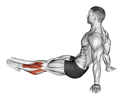 Feet and Ankles Stretch exercise demonstration for Calves, Body weight