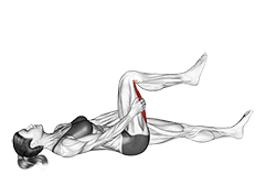 Hamstring Stretch exercise demonstration