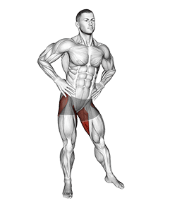 Hip Circles Stretch exercise demonstration for Hips, Body weight