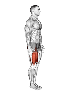 Knee Raise exercise demonstration for Thighs, Body weight