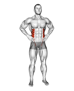 Middle Back Stretch exercise demonstration for Waist, Body weight