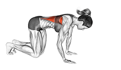 Kneeling Lat Stretch exercise demonstration for Back, Body weight