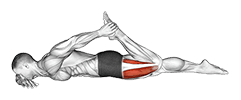 Quadriceps lying stretch exercise demonstration for Thighs, Body weight