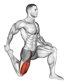 Quadriceps stretch exercise demonstration for Thighs, Body weight
