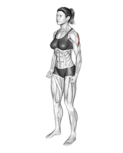 Rear Deltoid Stretch exercise demonstration