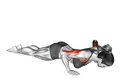 Reverse Dip exercise demonstration
