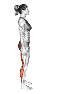 Runners Stretch exercise demonstration for Thighs, Body weight