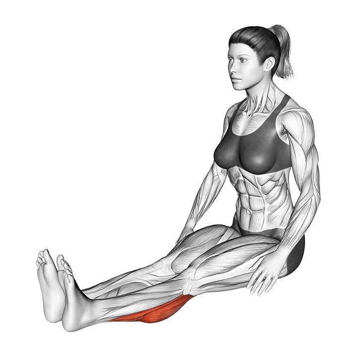 Seated Calf Stretch exercise demonstration for Calves, Body weight