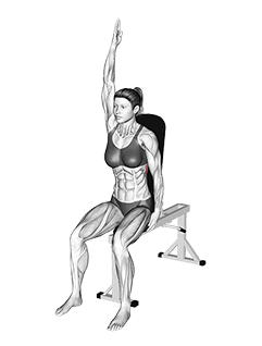 Seated Lower Back Stretch exercise demonstration for Back, Body weight