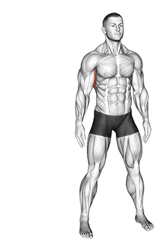 Slopes Towards Stretch exercise demonstration for Back, Body weight