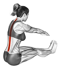 Spine Stretch exercise demonstration for Back, Body weight