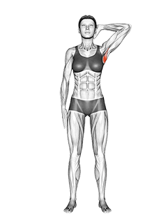 Standing Lateral Stretch exercise demonstration for Back, Body weight
