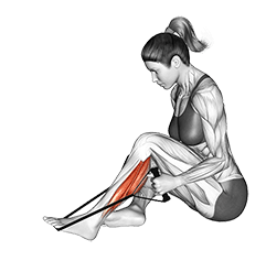 Peroneals Stretch exercise demonstration for Calves, Body weight
