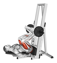 Sled Vertical Leg Press exercise demonstration for Thighs, Sled machine