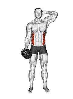 Dumbbell Side Bend exercise demonstration for Waist, Dumbbell