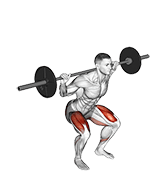 Barbell Squat 2 sec Hold exercise demonstration