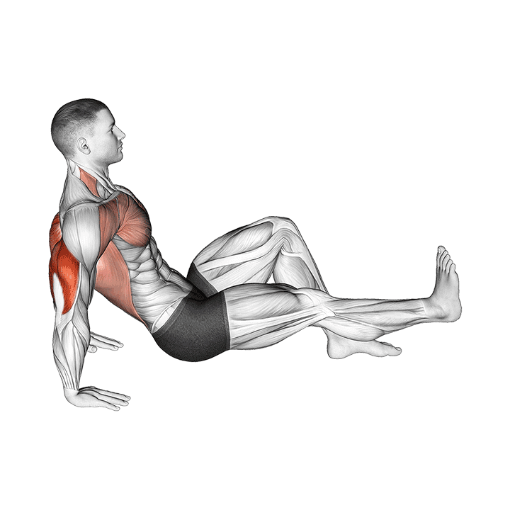 Single Leg Dip on floor exercise demonstration