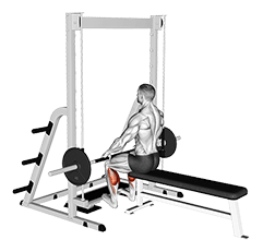 Smith Seated Calf Raise exercise demonstration