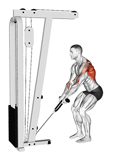 Cable Low Row with Rope Attachment exercise demonstration