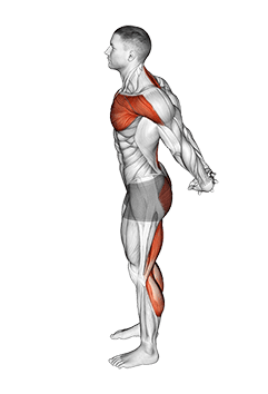 Standing Seal Yoga Pose exercise demonstration for Stretching, Body weight