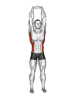 Swaying Palm Tree Yoga Pose exercise demonstration for Stretching, Body weight