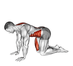 Tiger Yoga Pose exercise demonstration for Stretching, Body weight