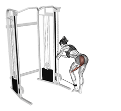 Cable Donkey Kickback exercise demonstration