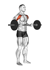 EZ-bar Drag Bicep Curl exercise demonstration for Biceps, and Upper Arms, EZ Barbell