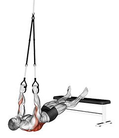 Suspender Wide Grip Inverted Row exercise demonstration