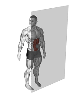 Roll Ball Rectus Abdominis exercise demonstration for Waist, Rollball