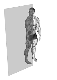 Roll Ball Forearm Pronator exercise demonstration