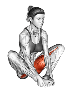 Butterfly Yoga Pose exercise demonstration for Hips, Body weight