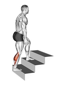 Calves Stretch exercise demonstration for Calves, Body weight