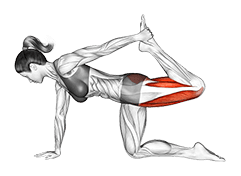 All Fours Squad Stretch exercise demonstration for Thighs, Body weight