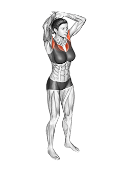 Above Head Chest Stretch exercise demonstration