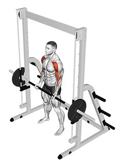 Smith Drag Curl exercise demonstration