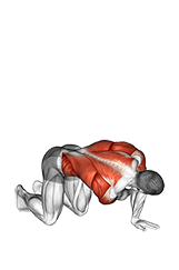 Push Through Reach exercise demonstration for Stretching, Body weight